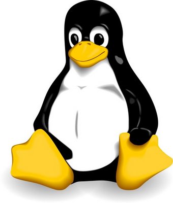 The Linux Kernel